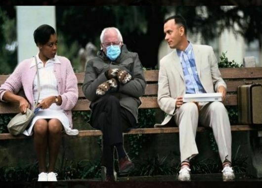 Fotografie und Wahrnehmung - Die Kraft der Bilder